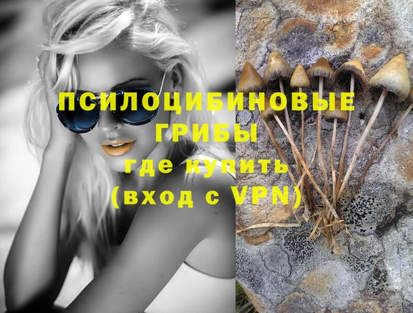 гидропоника Аркадак