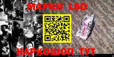 сатива Кингисепп