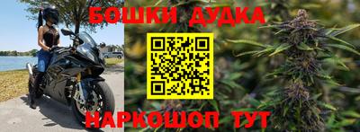 сатива Кингисепп