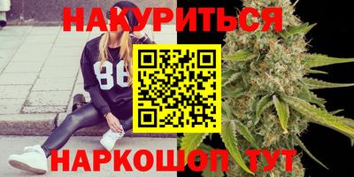 прущие крисы Камышлов