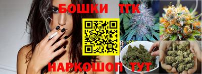 сатива Кингисепп