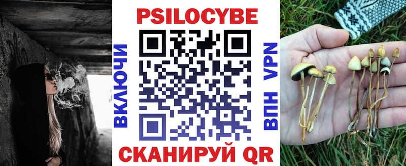 Псилоцибиновые грибы Psilocybe  ссылка на мегу ТОР  Ессентуки 