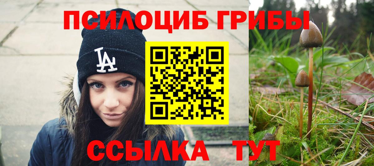 Псилоцибиновые грибы прущие грибы  закладки  Ессентуки  Вход с VPN 